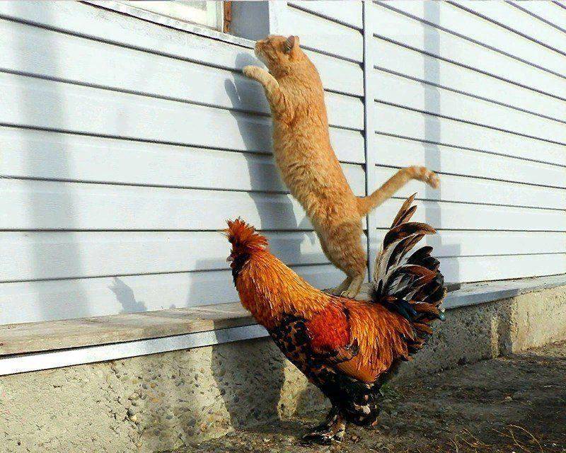 Daily Pictures. Part 2 (63 pics)