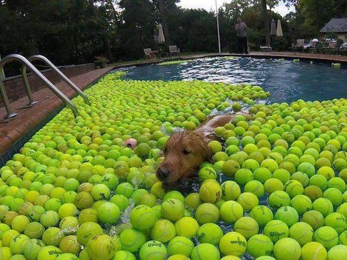 Daily Pictures. Part 1 (64 pics)