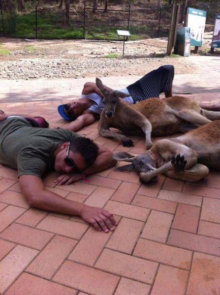 Daily Pictures. Part 1 (64 pics)