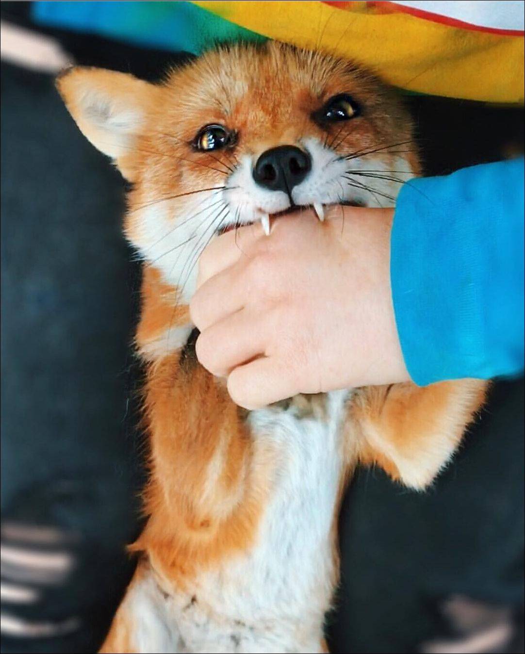 Daily Pictures. Part 1 (64 pics)