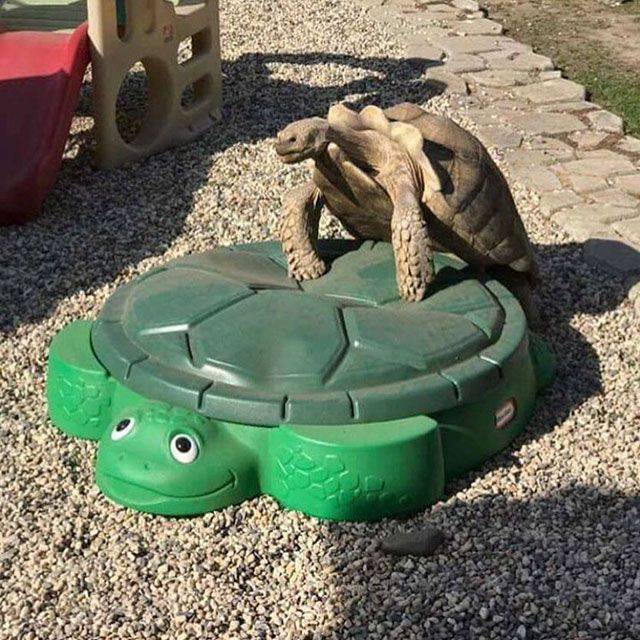 Daily Pictures. Part 1 (64 pics)