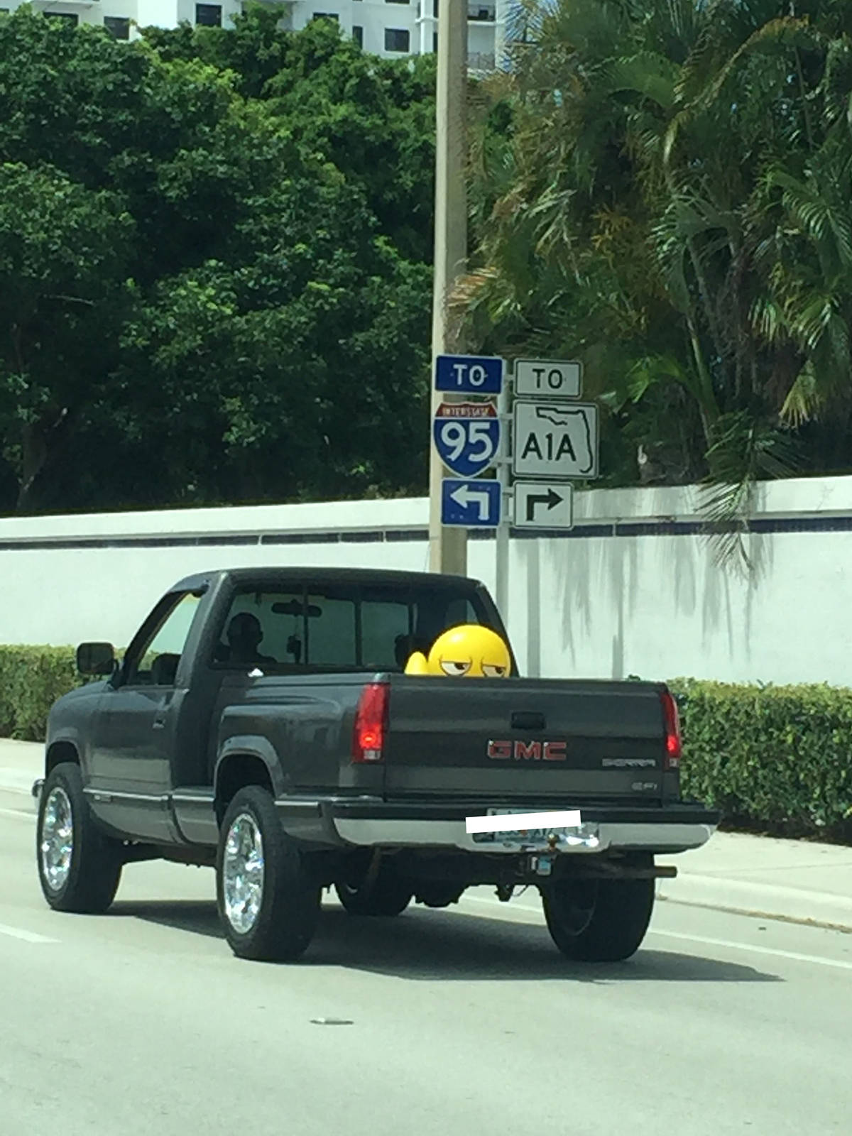 Daily Pictures. Part 1 (64 pics)