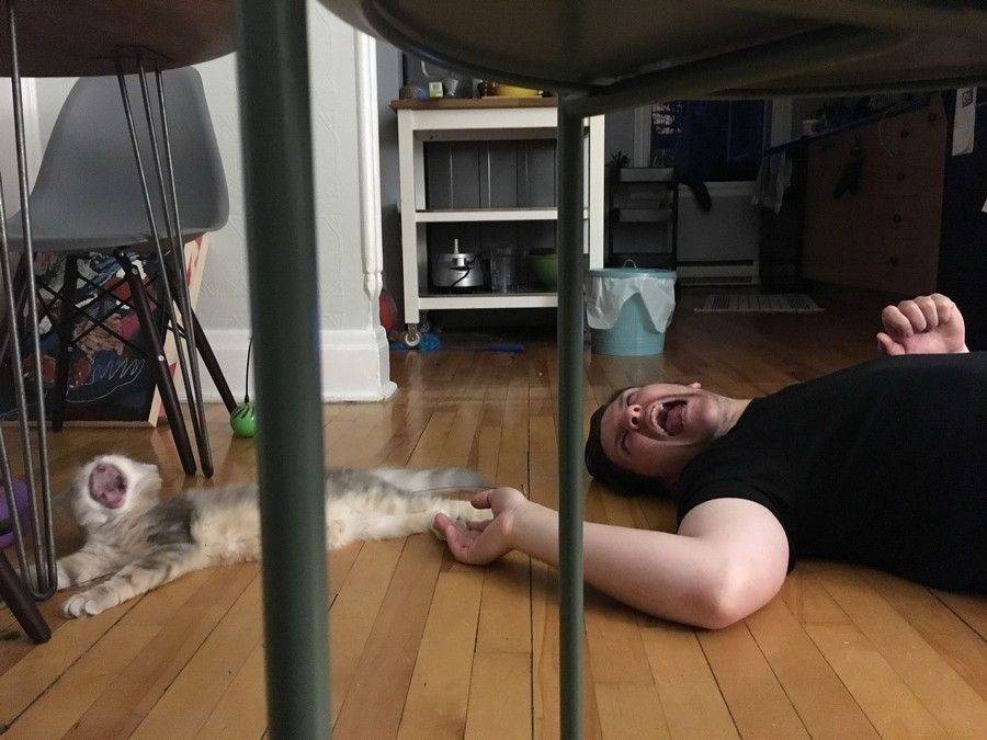 Daily Pictures. Part 2 (63 pics)