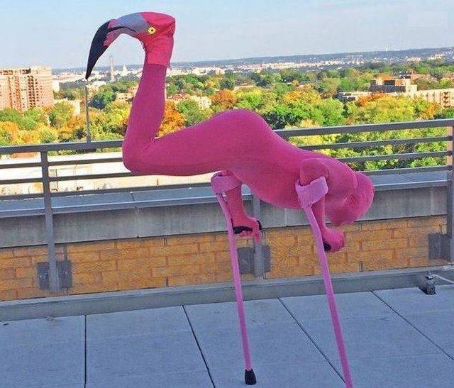 Daily Pictures. Part 1 (64 pics)