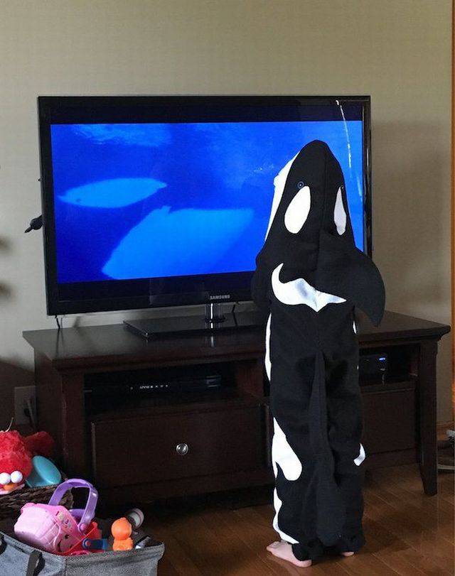 Daily Pictures. Part 2 (63 pics)