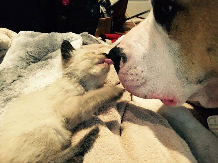 Daily Pictures. Part 2 (63 pics)