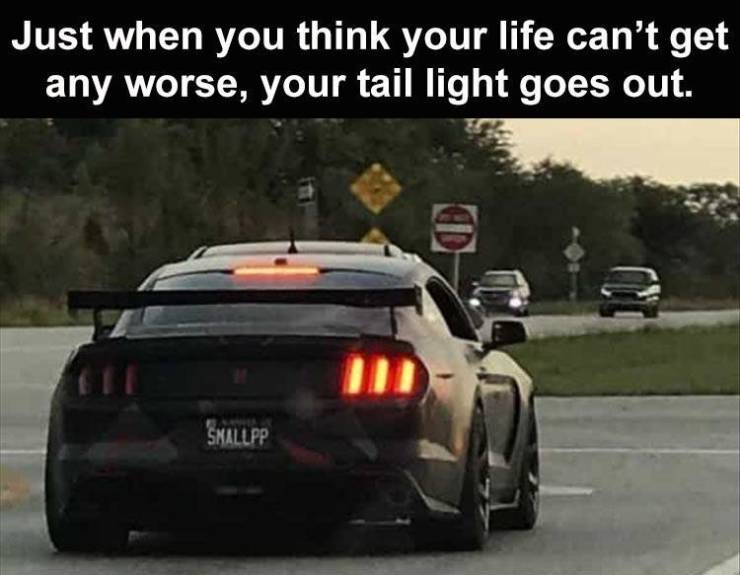 Daily Pictures. Part 2 (63 pics)