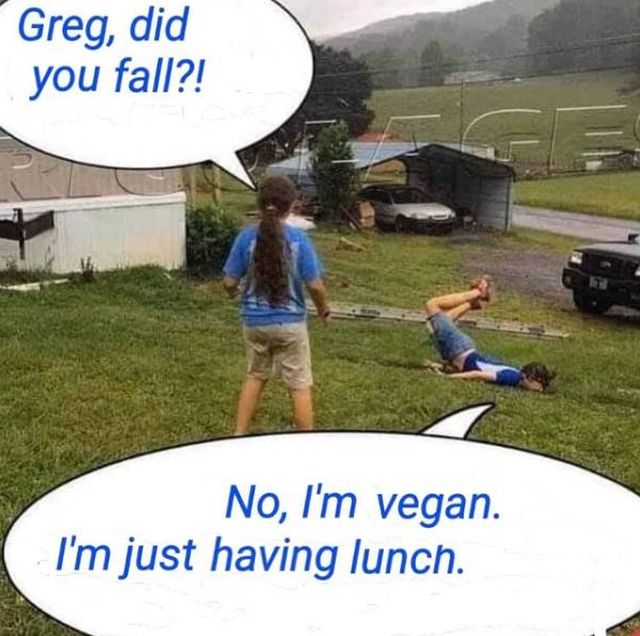 Daily Pictures. Part 2 (63 pics)