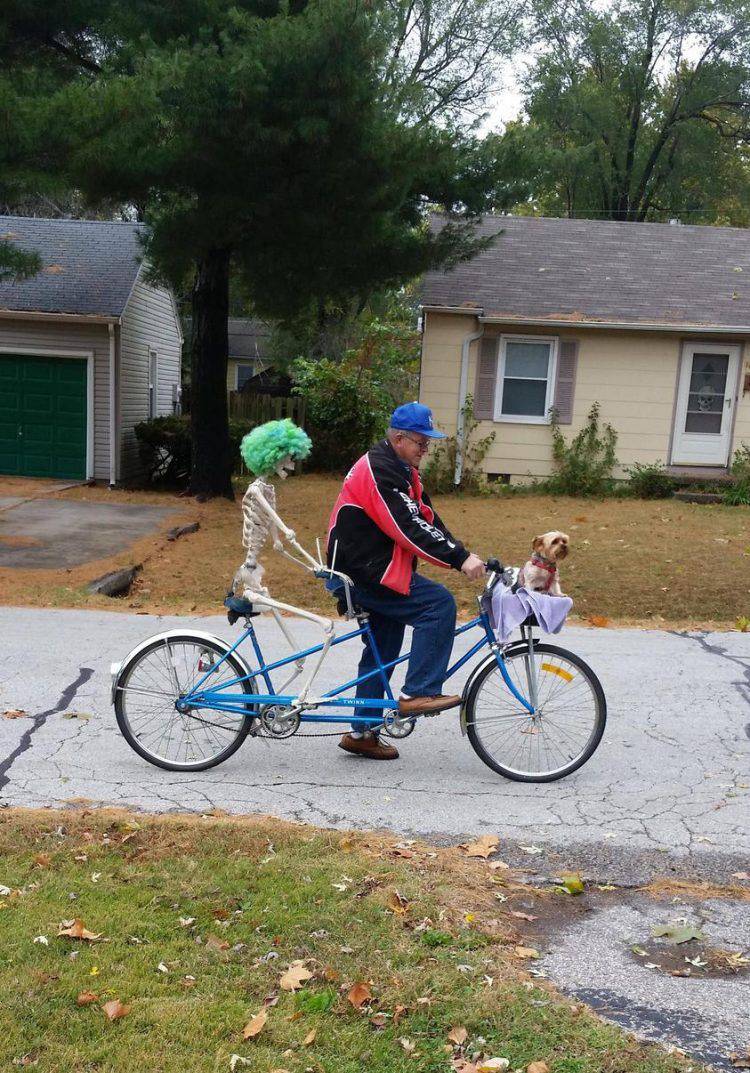 Daily Pictures. Part 1 (64 pics)