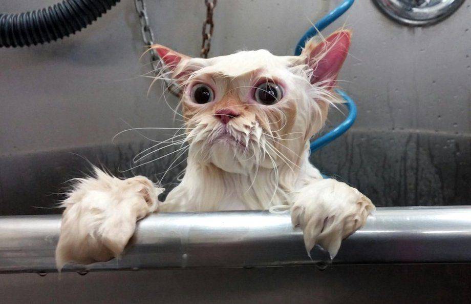 Daily Pictures. Part 1 (64 pics)