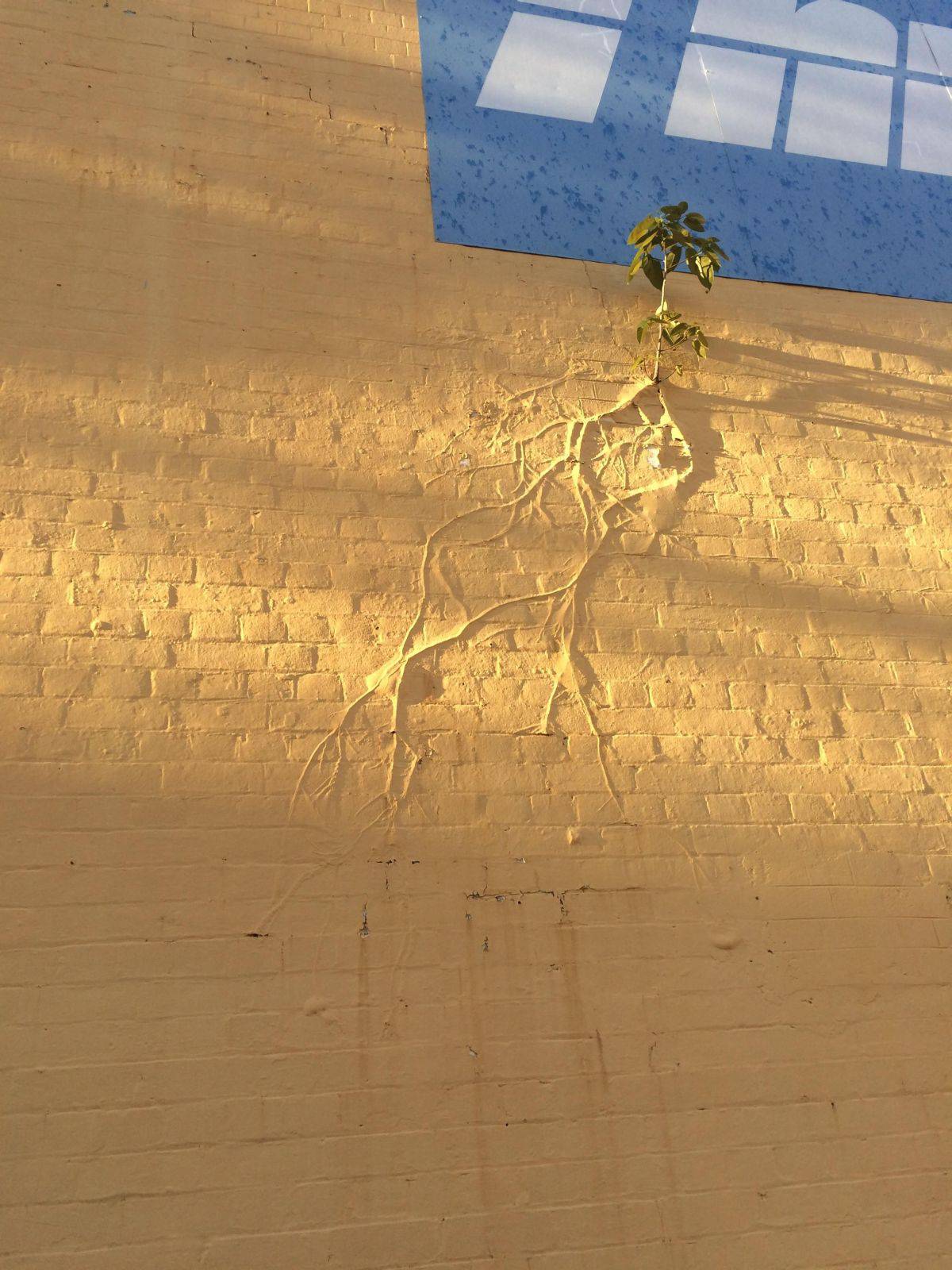 Daily Pictures. Part 1 (64 pics)