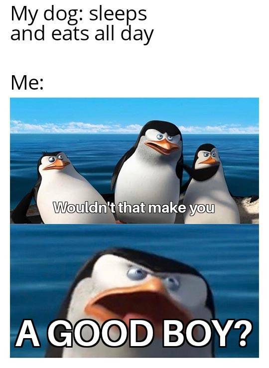 Daily Pictures. Part 2 (63 pics)