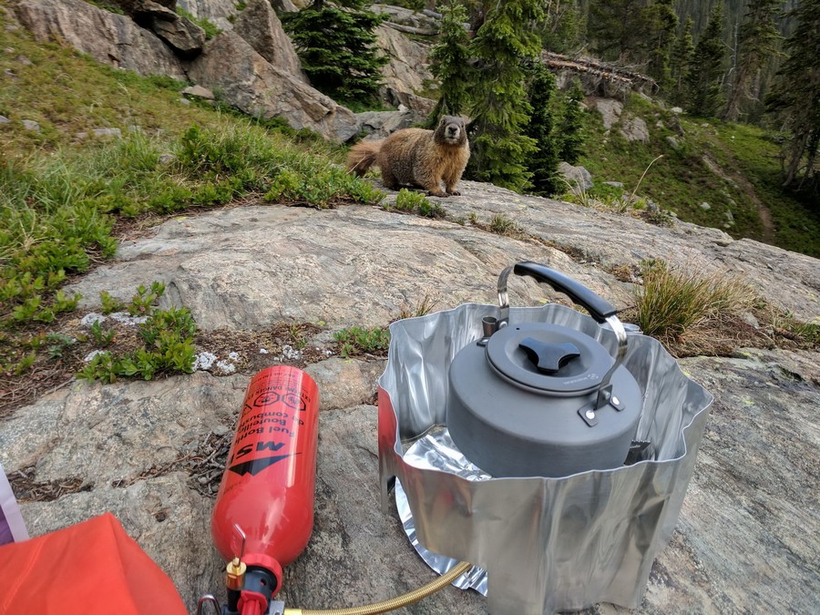 Daily Pictures. Part 2 (63 pics)