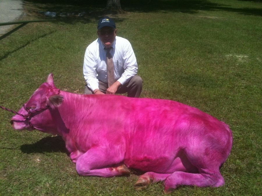 Daily Pictures. Part 2 (63 pics)