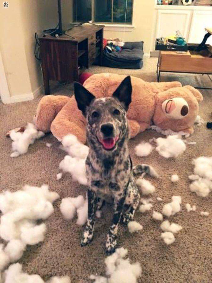 Daily Pictures. Part 2 (63 pics)