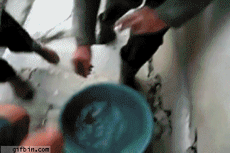 Acid GIFs, February 3 (25 gifs)