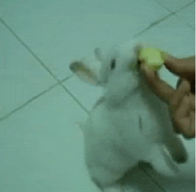 Acid GIFs, February 3 (25 gifs)
