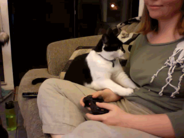 Acid GIFs, February 3 (25 gifs)