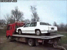 Acid GIFs, February 3 (25 gifs)