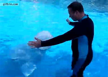 Acid GIFs, February 3 (25 gifs)