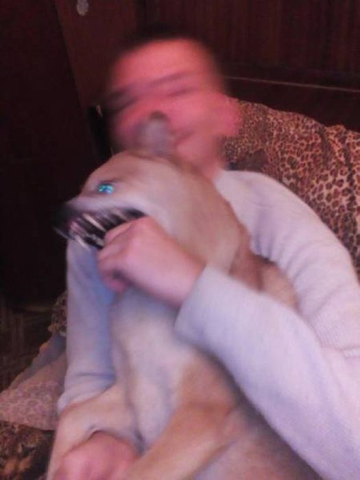 Bad Days Happen (29 pics) Bad Days Happen (29 pics)