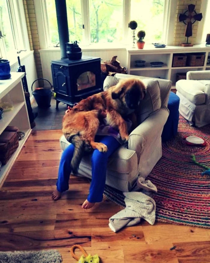 They Don't Care About Your Personal Space (20 pics) They Don't Care About Your Personal Space (20 pics)