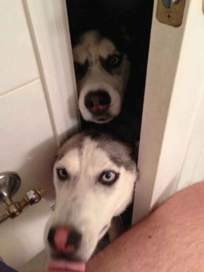 They Don't Care About Your Personal Space (20 pics) They Don't Care About Your Personal Space (20 pics)
