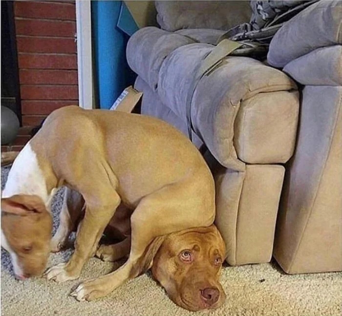 They Don't Care About Your Personal Space (20 pics) They Don't Care About Your Personal Space (20 pics)