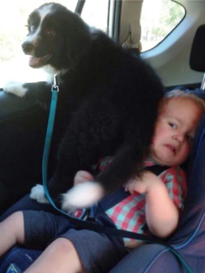 They Don't Care About Your Personal Space (20 pics) They Don't Care About Your Personal Space (20 pics)