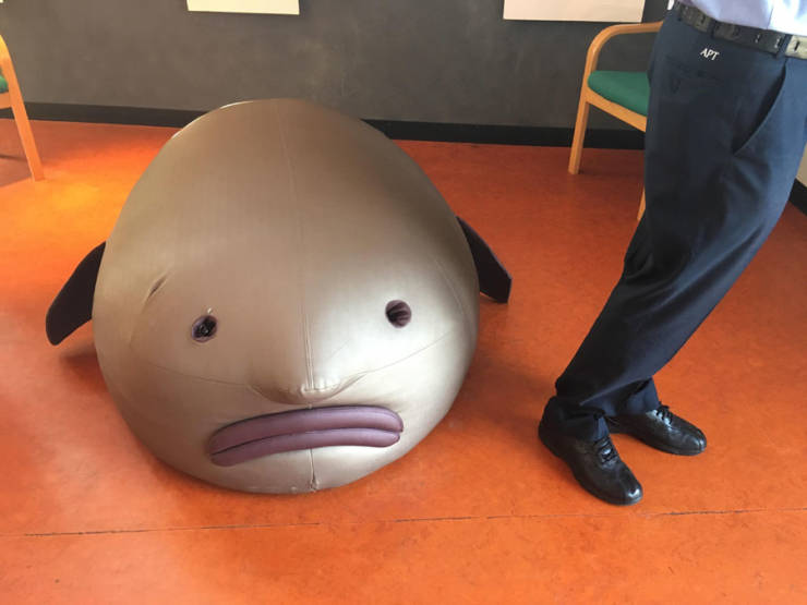 Daily Pictures. Part 1 (64 pics)