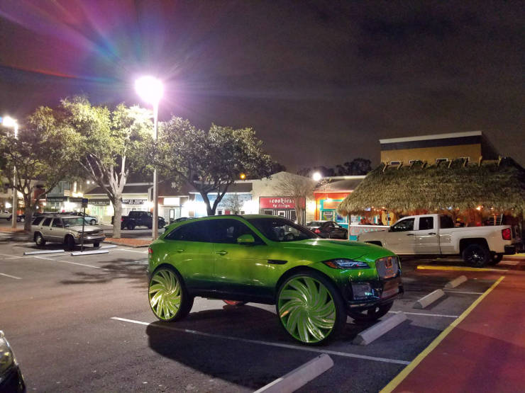 Daily Pictures. Part 1 (64 pics)