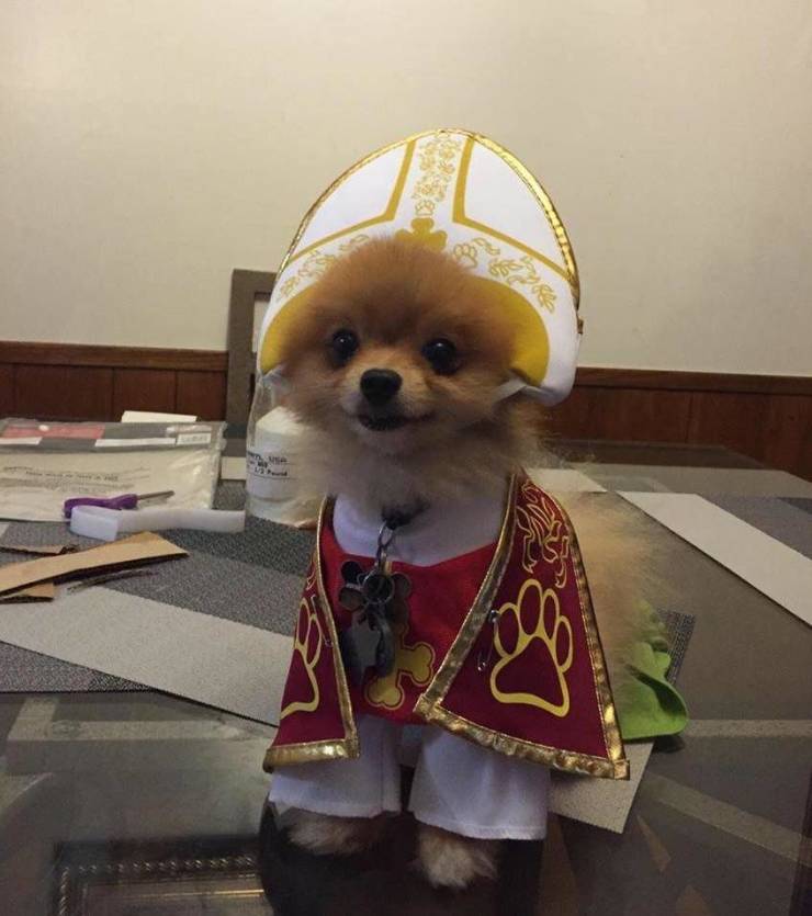 Daily Pictures. Part 1 (64 pics)