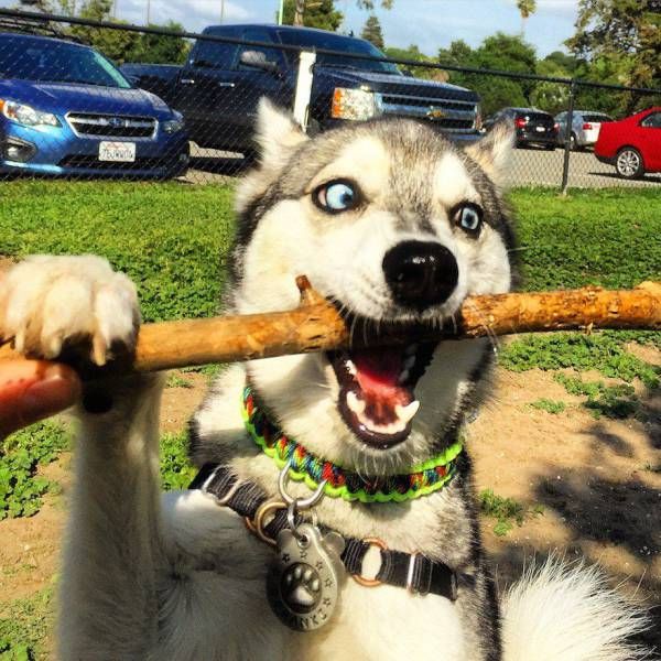 Daily Pictures. Part 1 (64 pics)