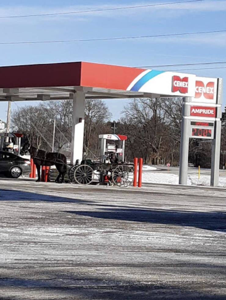 Daily Pictures. Part 1 (64 pics)