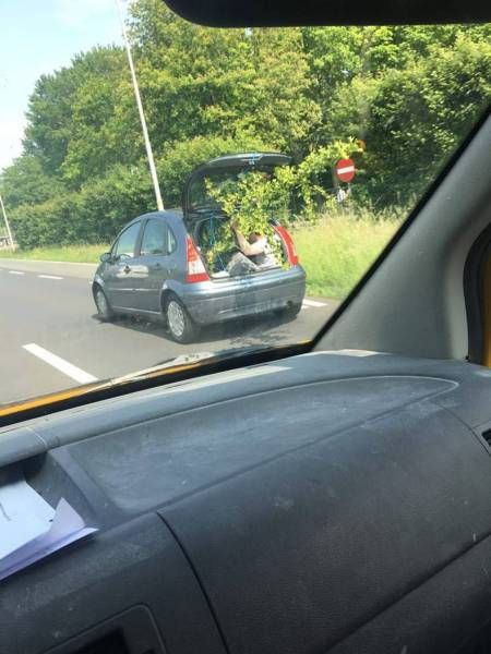 Daily Pictures. Part 1 (64 pics)