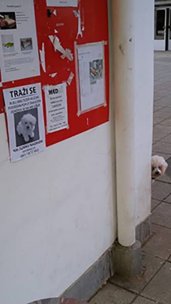 Daily Pictures. Part 2 (63 pics)