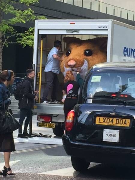 Daily Pictures. Part 2 (63 pics)