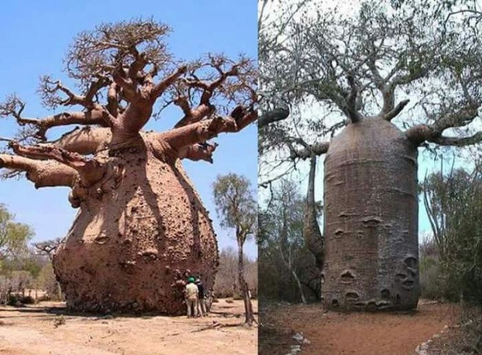 Daily Pictures. Part 1 (64 pics)