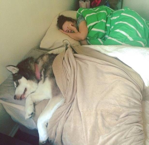 Daily Pictures. Part 2 (63 pics)