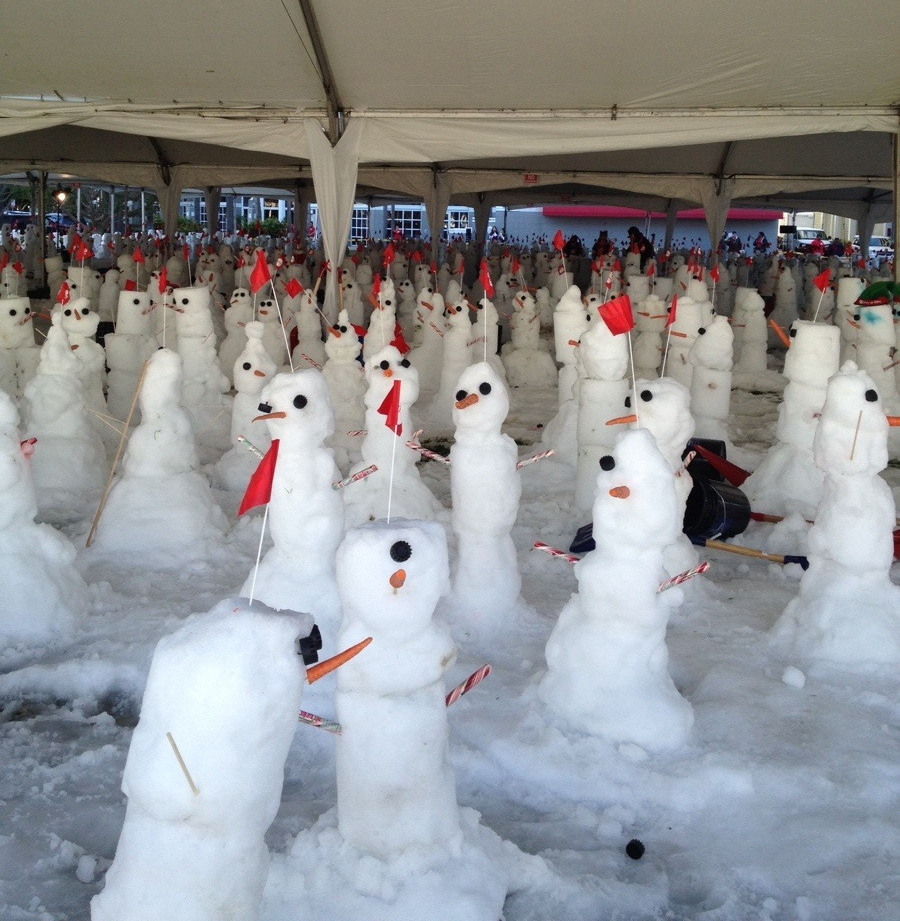 Daily Pictures. Part 1 (64 pics)