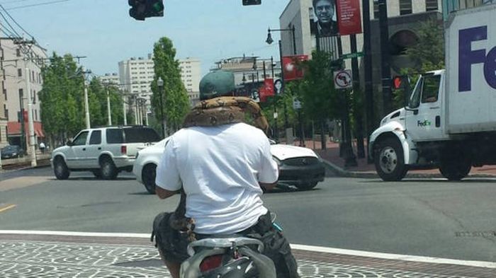 Daily Pictures. Part 2 (63 pics)