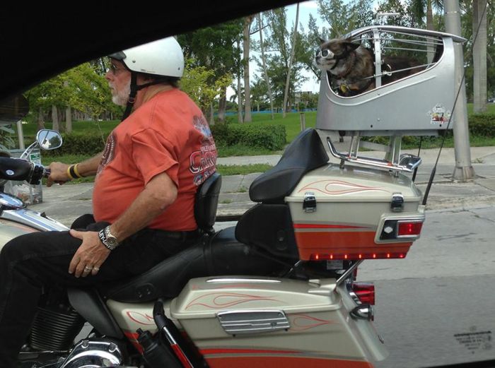 Daily Pictures. Part 2 (63 pics)