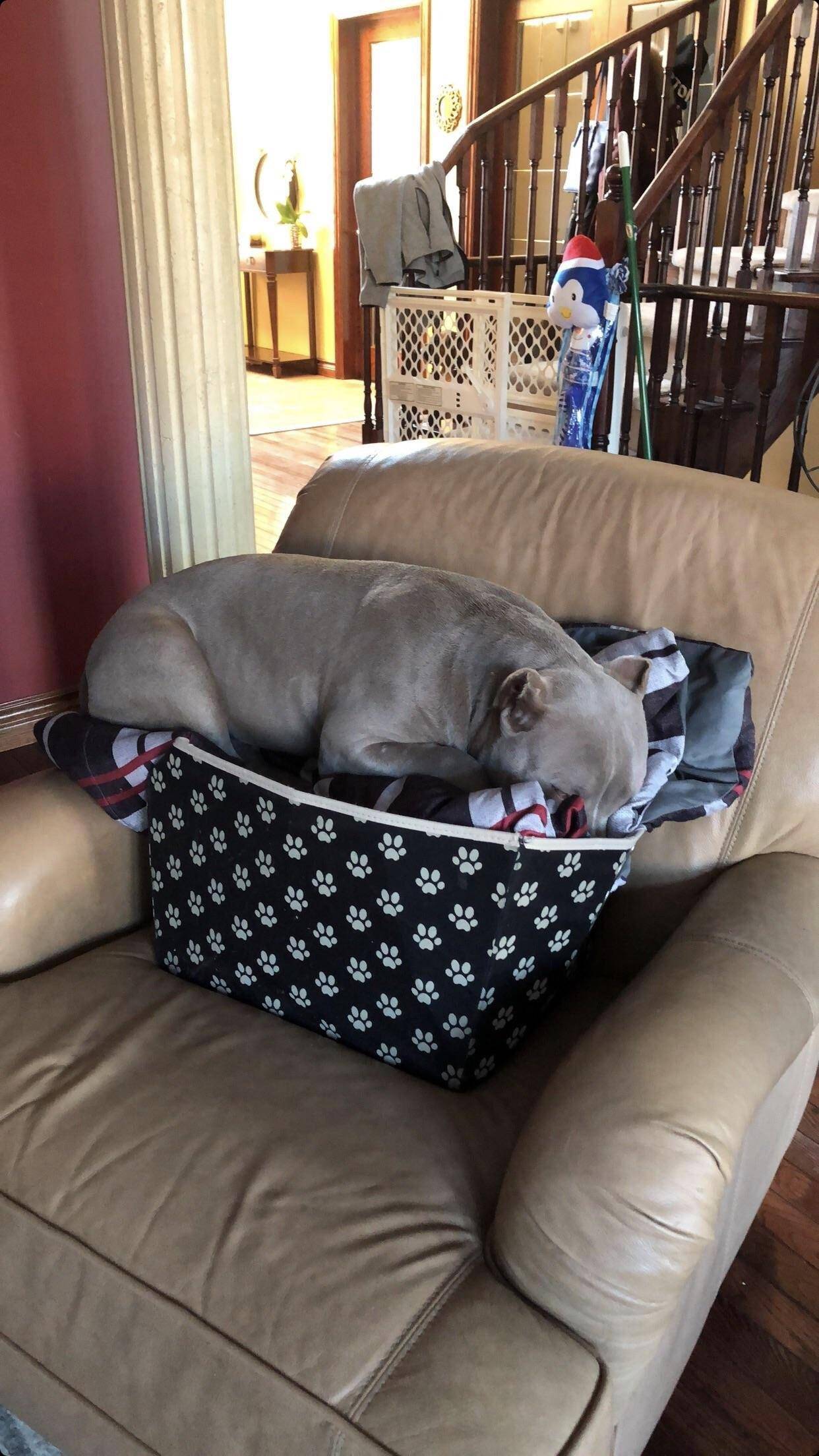 Daily Pictures. Part 1 (64 pics)