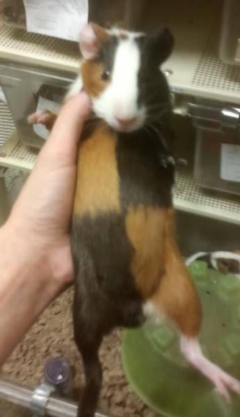 Daily Pictures. Part 1 (64 pics)