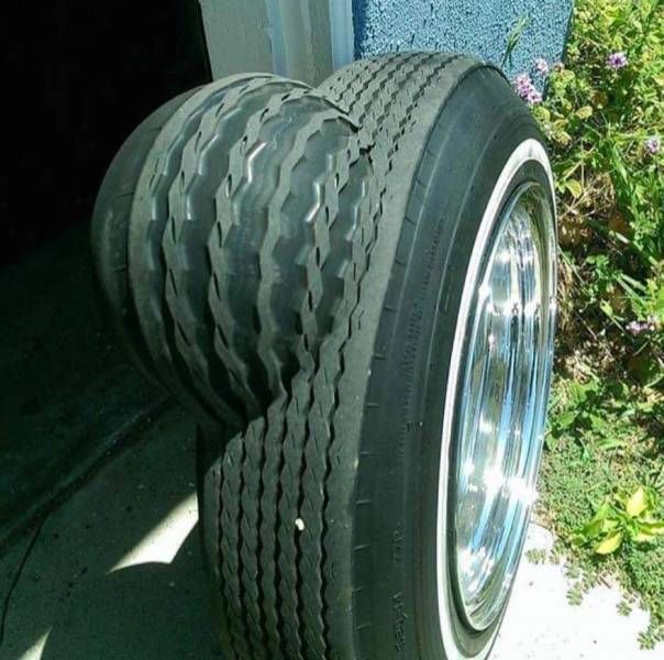 Daily Pictures. Part 2 (63 pics)