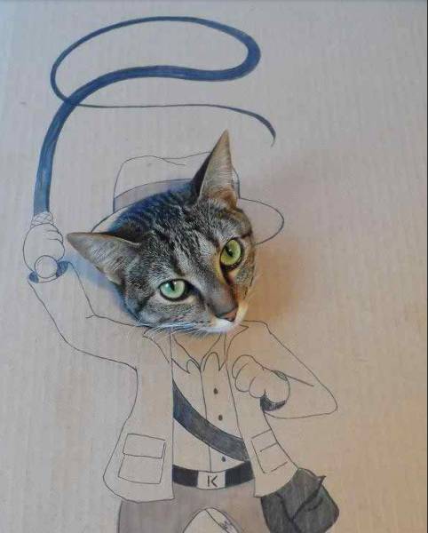 Daily Pictures. Part 2 (63 pics)