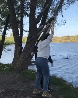 Acid GIFs, February 4 (25 gifs)