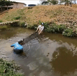 Acid GIFs, February 4 (25 gifs)