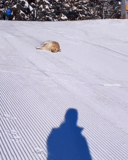 Acid GIFs, February 4 (25 gifs)