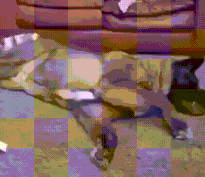 Acid GIFs, February 4 (25 gifs)